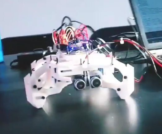 Programación de funciones para robot cuadrúpedo